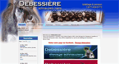 Desktop Screenshot of debessiere.com