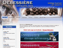 Tablet Screenshot of debessiere.com